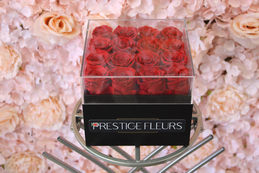 Real Long Last Roses